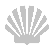 Shell white on transparent